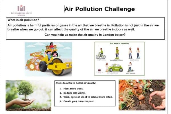 Air Pollution 2